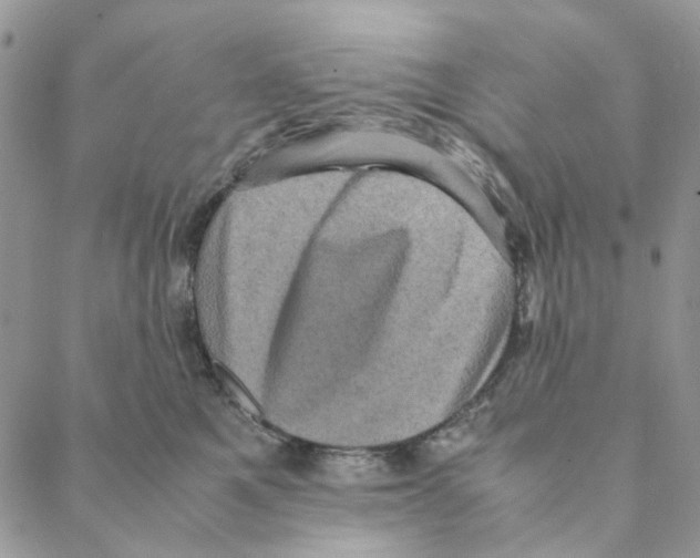 X0000088190521200706121719