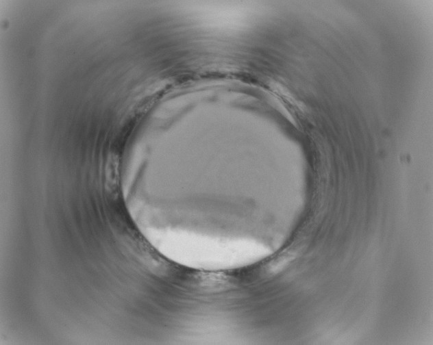 X0000088190528200706121719