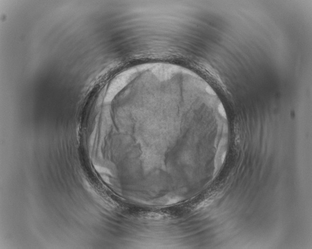 X0000088190542200706121718