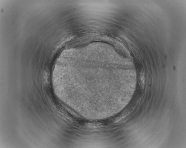 X0000088190556200706121718