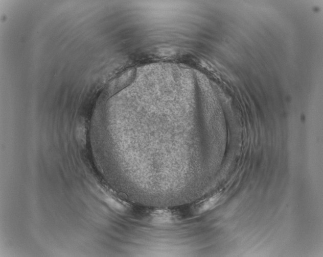 X0000088190562200706121718