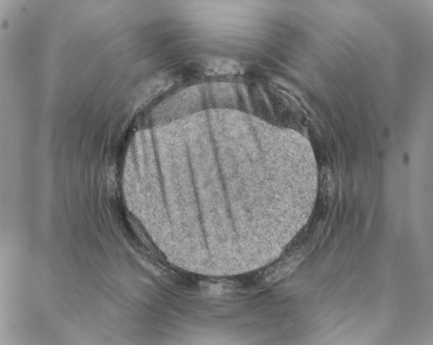 X0000088190564200706121718