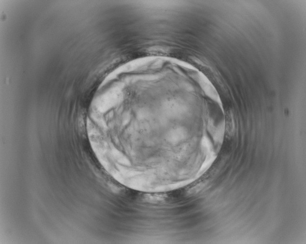 X0000088190573200706121719