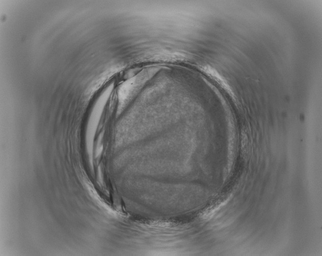 X0000088190581200706121718