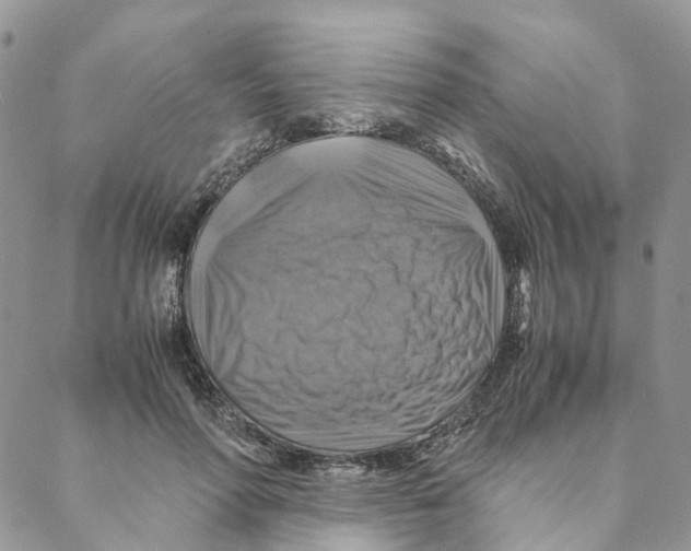X0000088190598200706121718