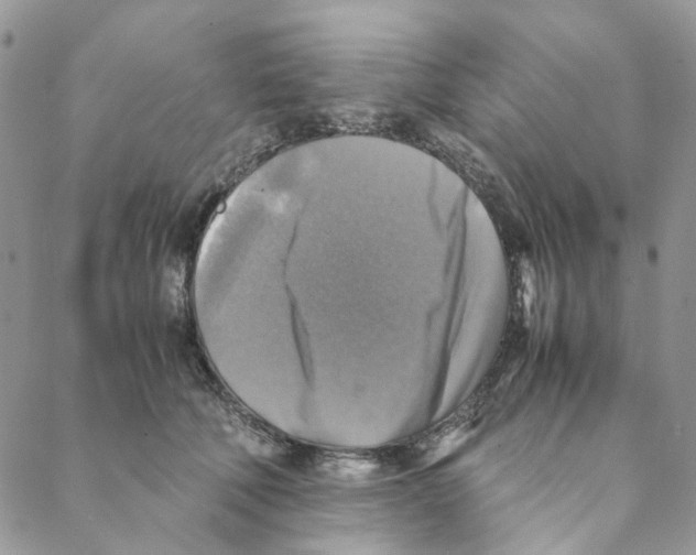 X0000088190610200706121717
