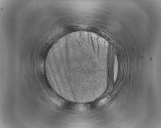 X0000088190613200706121717