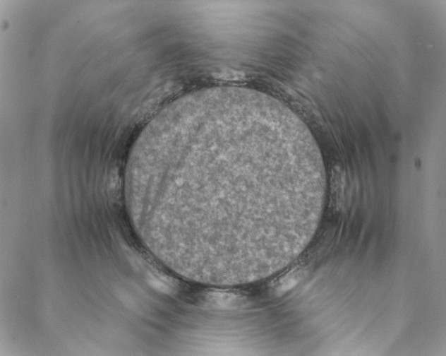 X0000088190614200706121717