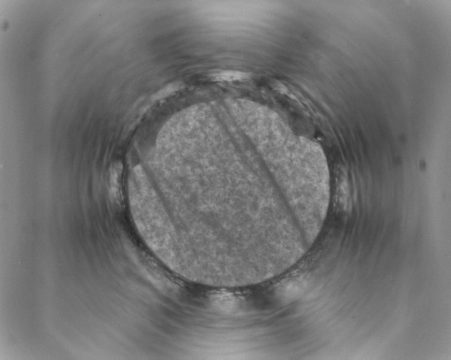 X0000088190616200706121717