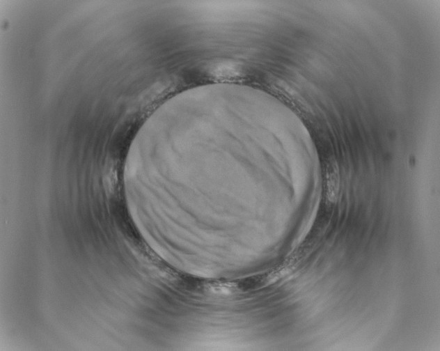 X0000088190618200706121717