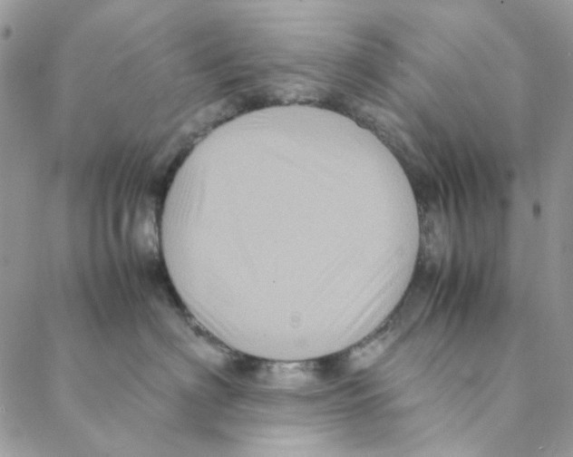 X0000088190622200706121717