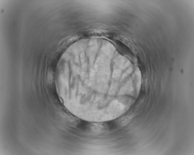 X0000088190623200706121717