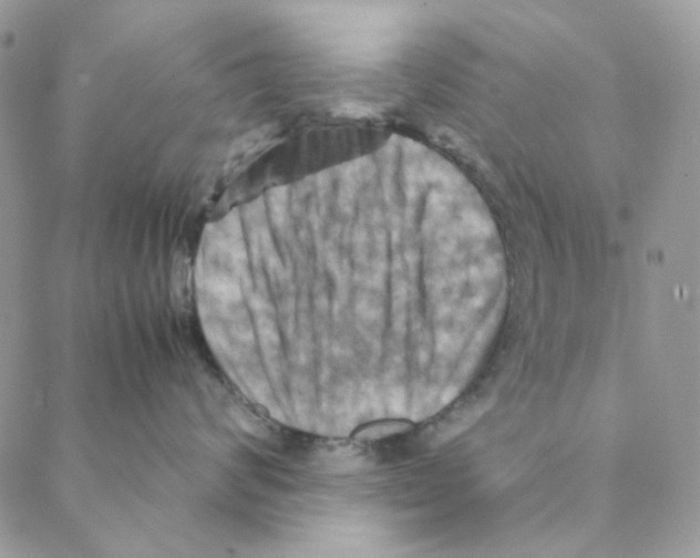 X0000088190624200706121717