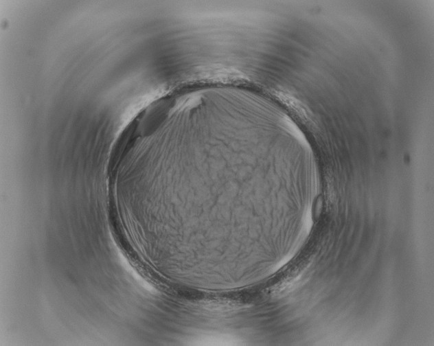 X0000088190630200706121716