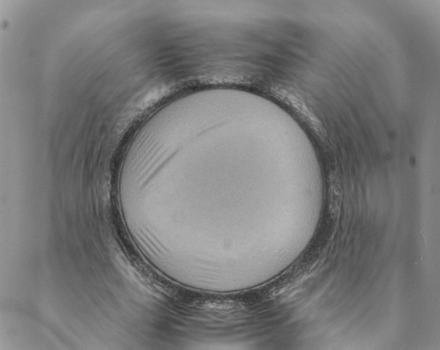 X0000088190631200706121716