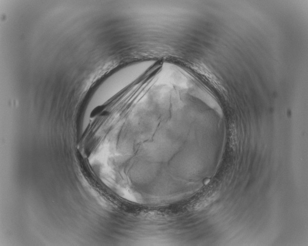 X0000088190634200706121716