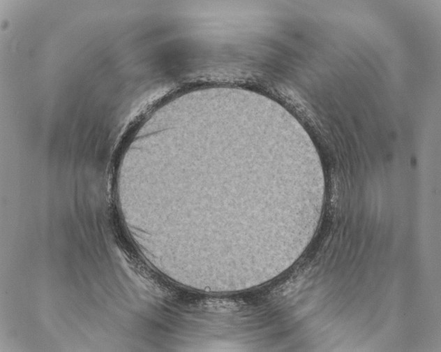 X0000088190636200706121717