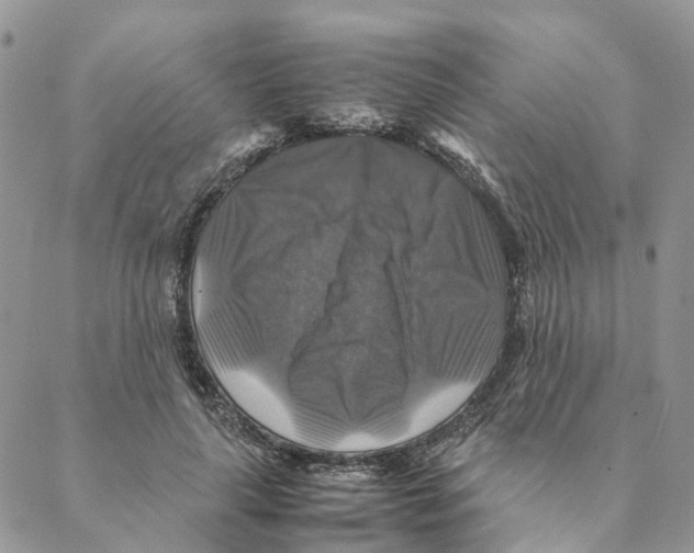 X0000088190643200706121717
