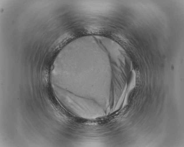 X0000088190648200706121717