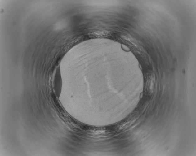 X0000088190651200706121717