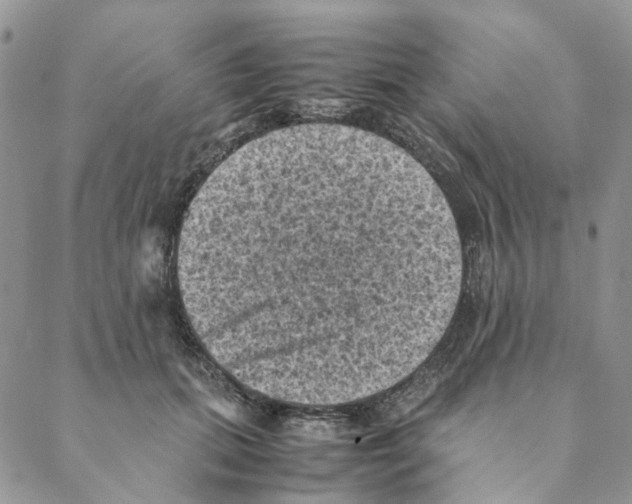 X0000088190655200706121717