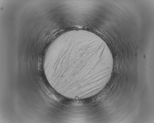 X0000088190656200706121717