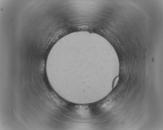 X0000088190660200706121717