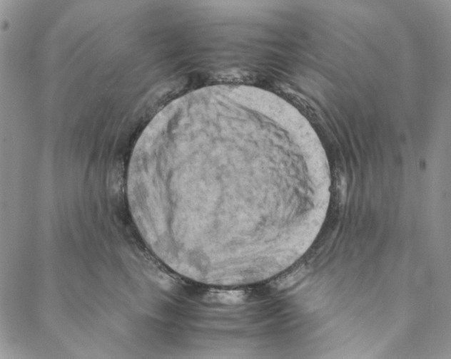 X0000088190665200706121717