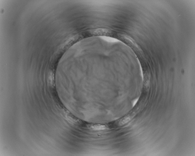X0000088190669200706121717