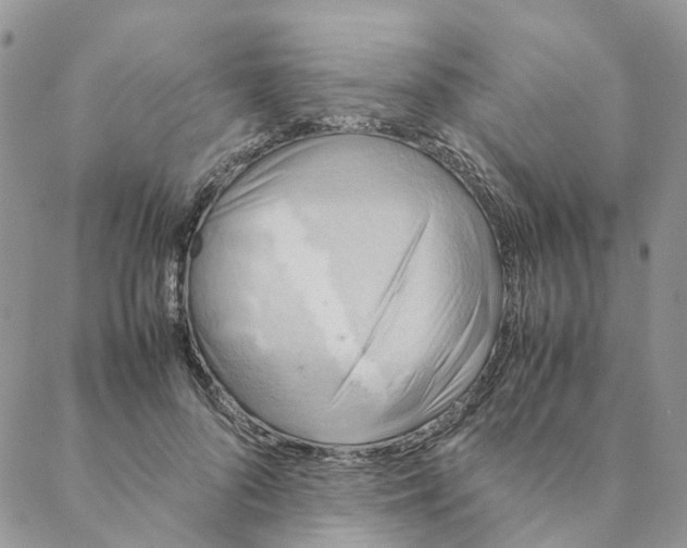 X0000088190696200706121716