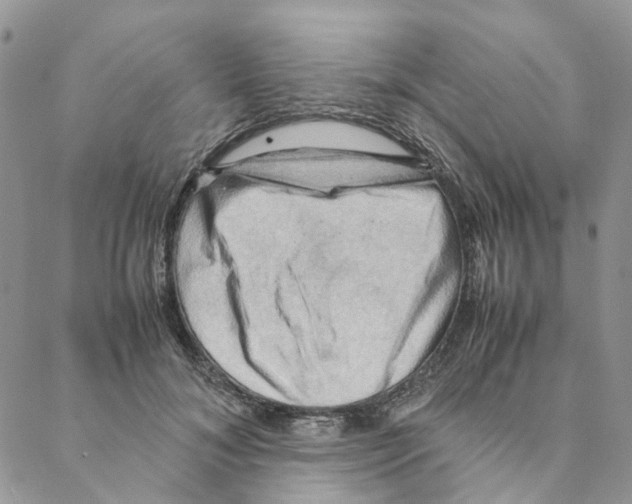 X0000088190700200706121716