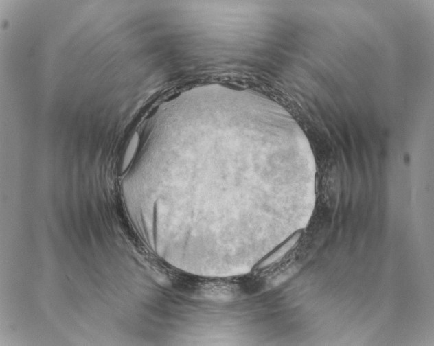 X0000088190708200706121716
