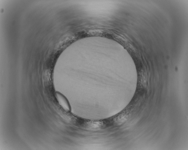 X0000088190711200706121716