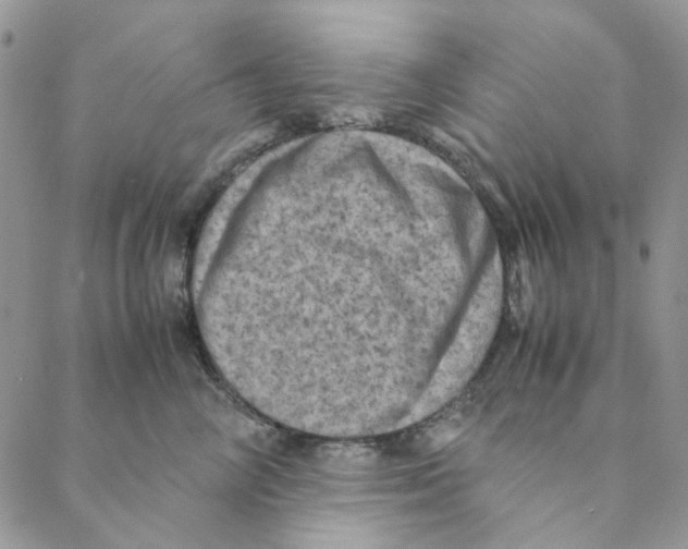 X0000088190714200706121716