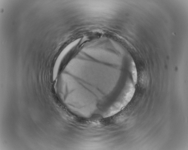 X0000088190715200706121716