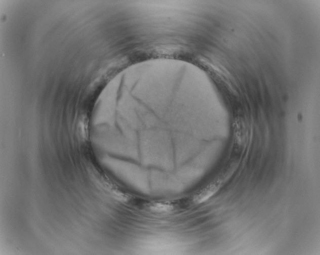 X0000088190718200706121716