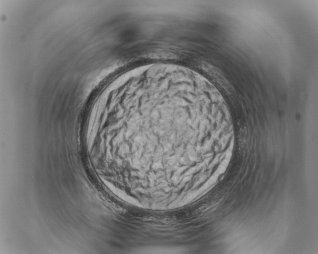 X0000088190727200706121715