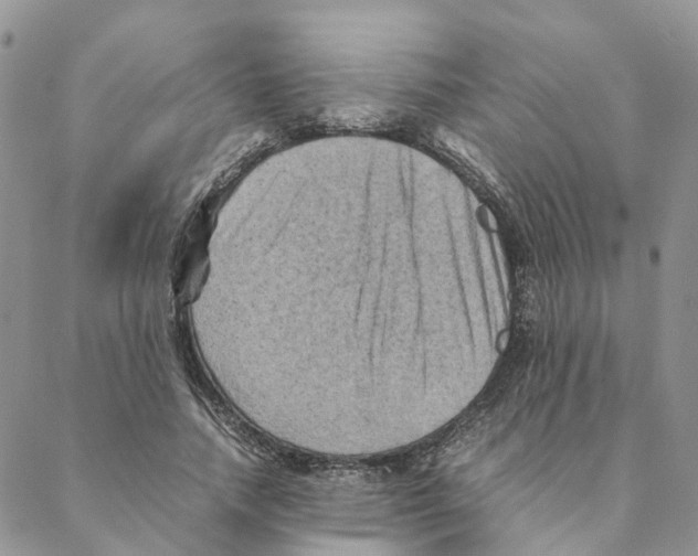 X0000088190738200706121715