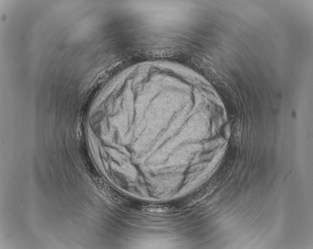 X0000088190746200706121715