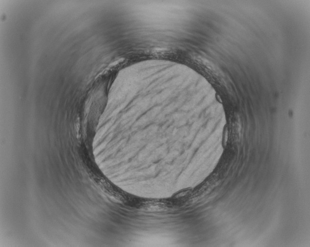 X0000088190750200706121715