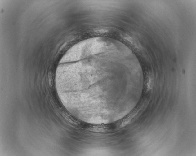 X0000088190758200706121715