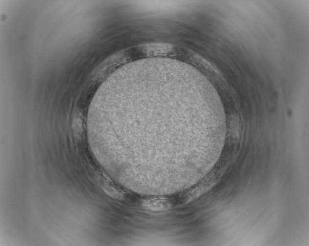 X0000088190761200706121715
