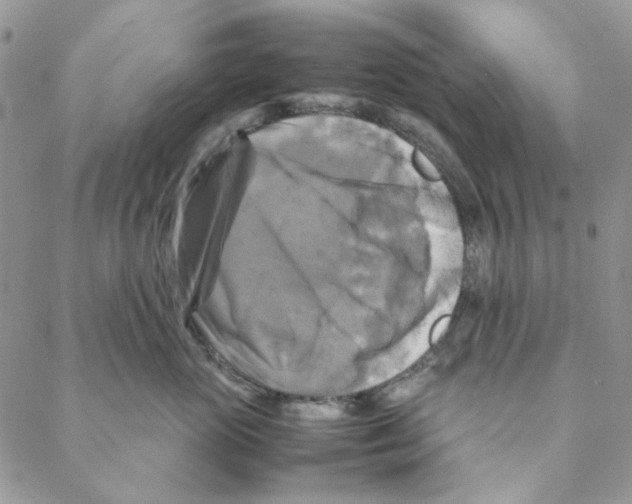 X0000088190765200706121715