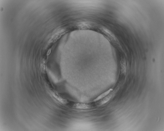 X0000088190766200706121716