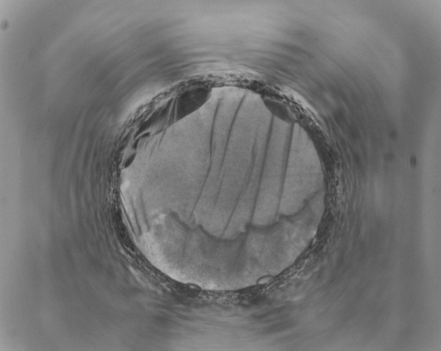 X0000088190775200706121715