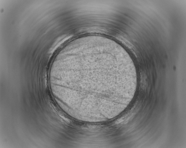 X0000088190782200706121715
