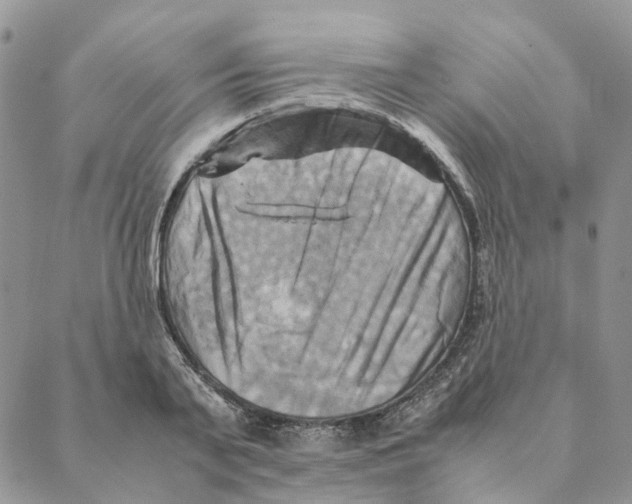 X0000088190791200706121714