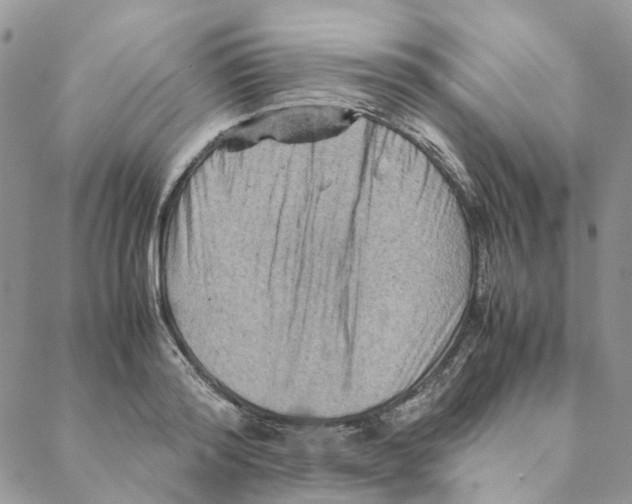 X0000088190796200706121714