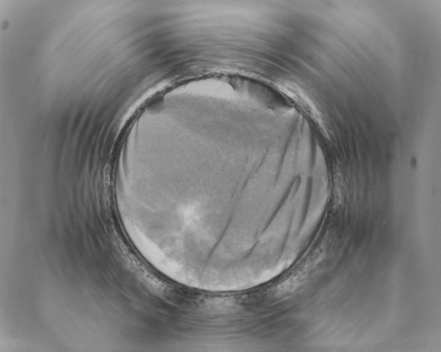 X0000088190798200706121714