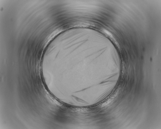 X0000088190802200706121714